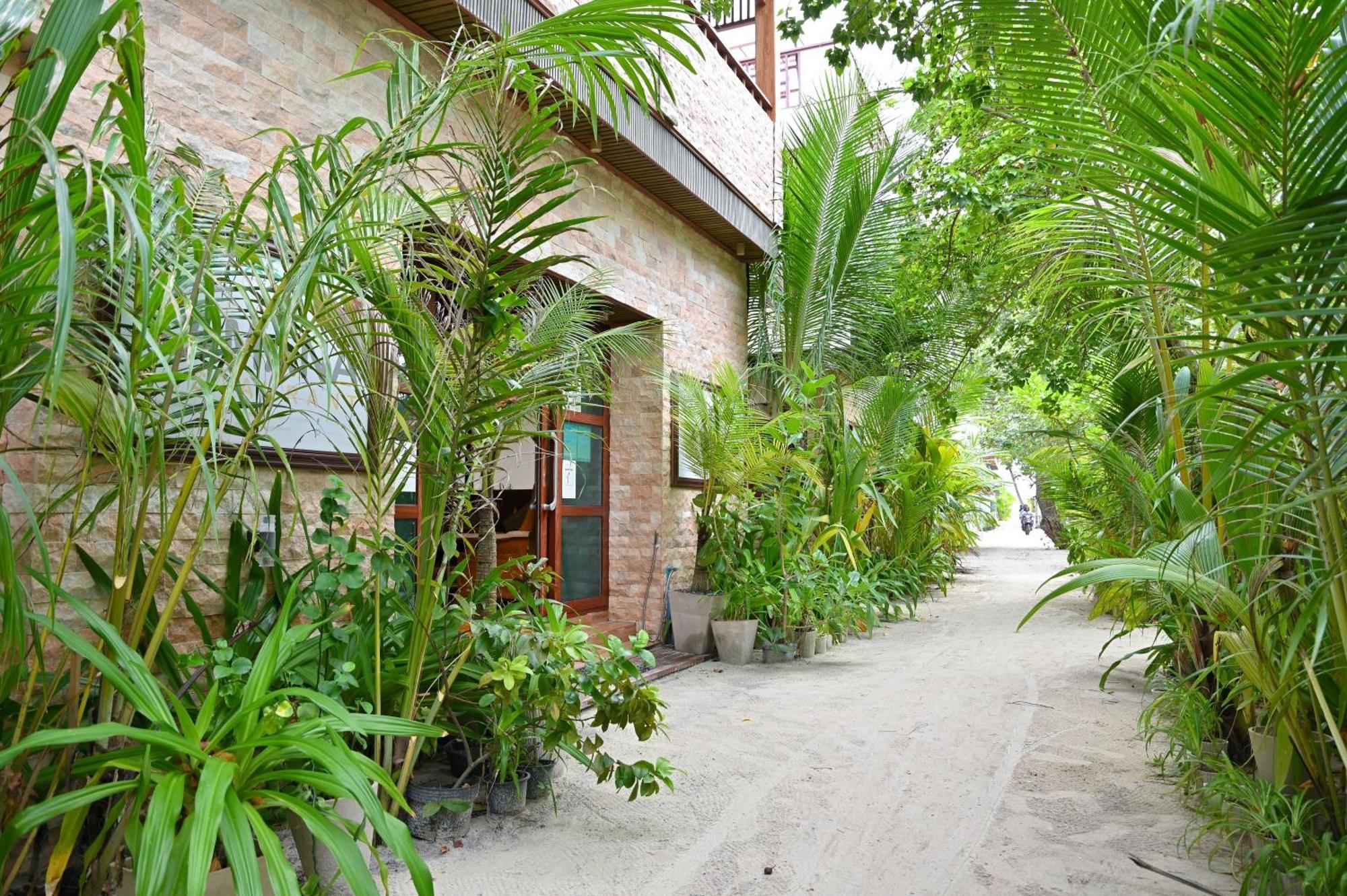 Hotel Lumeire Sands, Guraidhoo à Guraidhoo  Extérieur photo